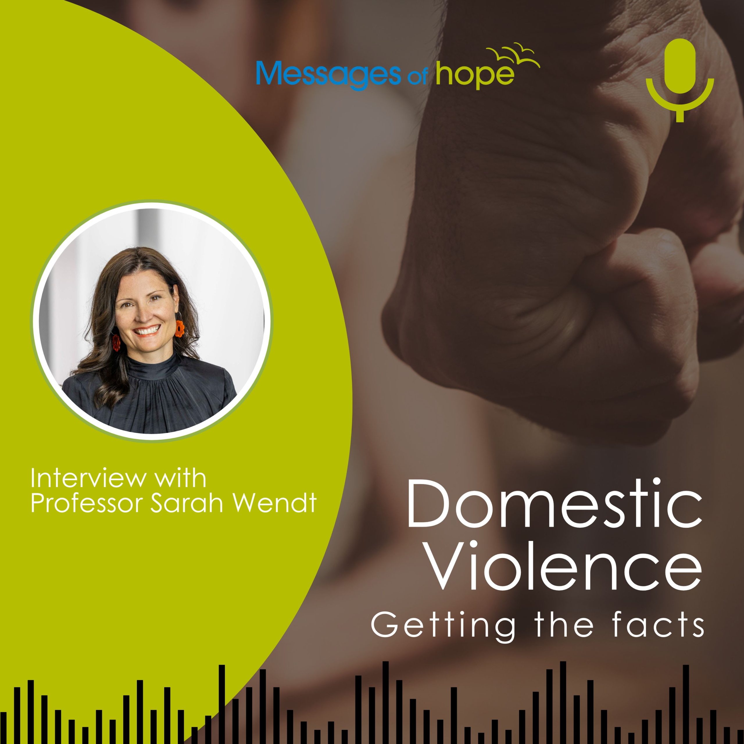 domestic-violence-getting-the-facts