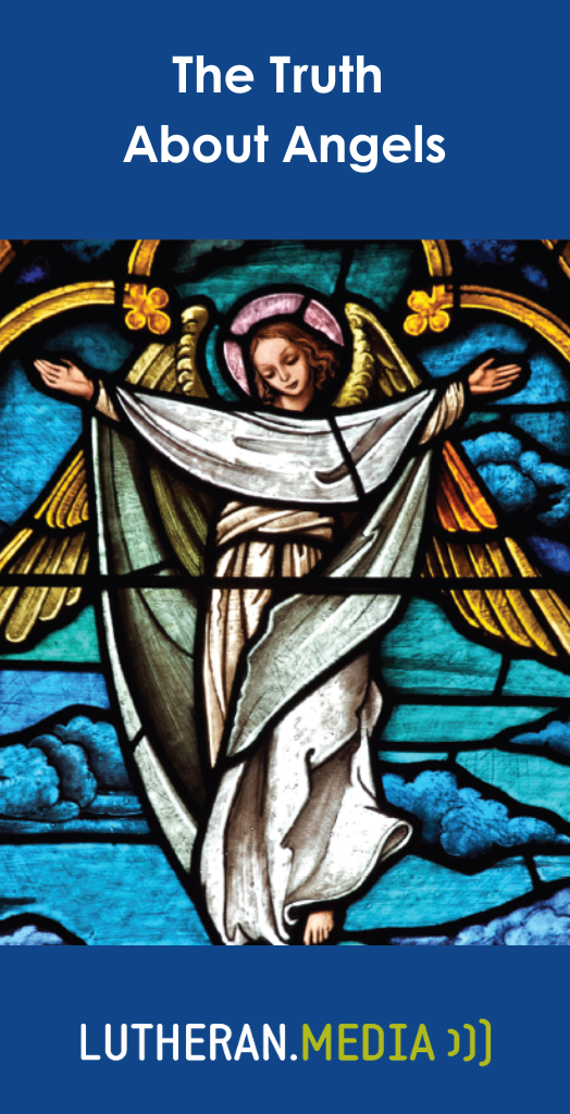 The Truth About Angels